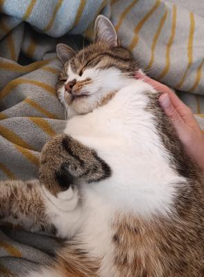 Oskar