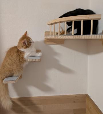 Blake und Puno