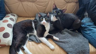 Marley und Marlo