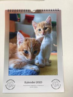 Tierheimkalender 2023 ab sofort erhältlich