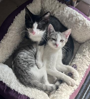 Tara und Milan