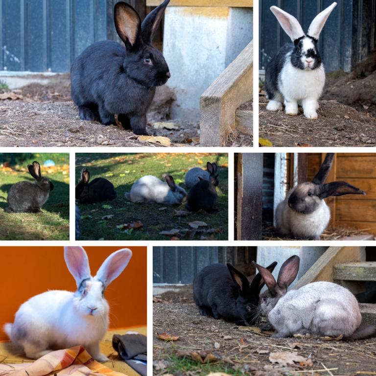 Aurelia, Ernesto, Alvaro, Mateo, Lucia, Fernanda, Estrella & Valeria Aurelia, Ernesto, Alvaro, Mateo, Lucia, Fernanda, Estrella & Valeria