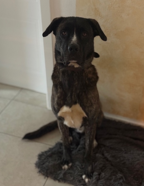 Lennox DIREKTVERMITTLUNG Lennox DIREKTVERMITTLUNG