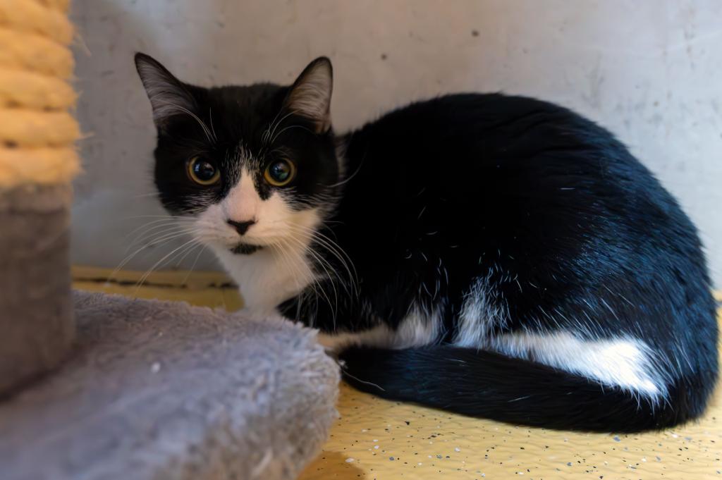 Nia Wohnungshaltung möglich Nia Wohnungshaltung möglich