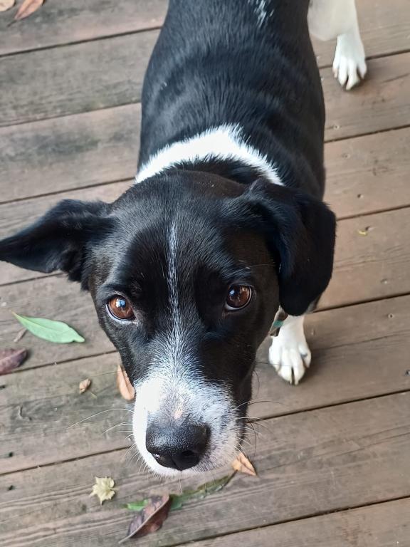 Lana DIREKTVERMITTLUNG Lana DIREKTVERMITTLUNG