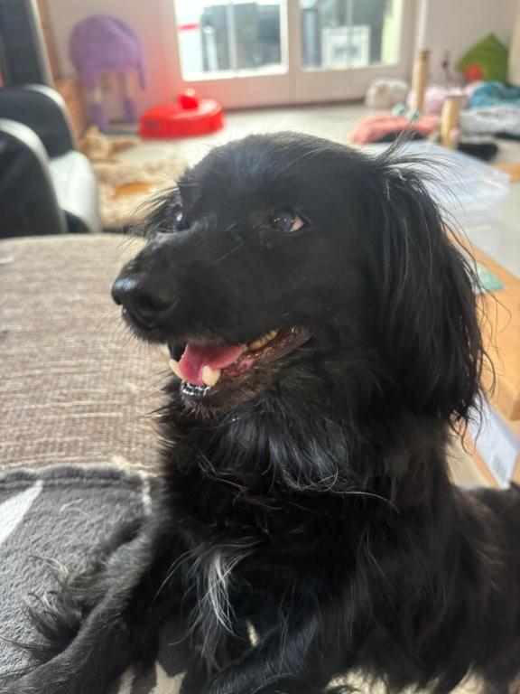 Bunica Direktvermittlung Bunica Direktvermittlung