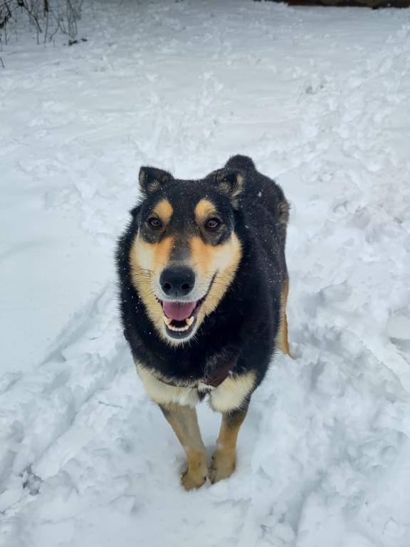 Clara Direktvermittlung Clara Direktvermittlung