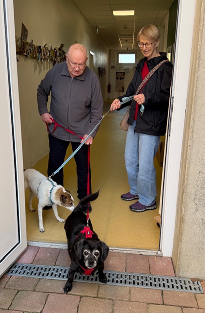 Oskar & Heidi gemeinsames Zuhause gefunden Oskar & Heidi gemeinsames Zuhause gefunden