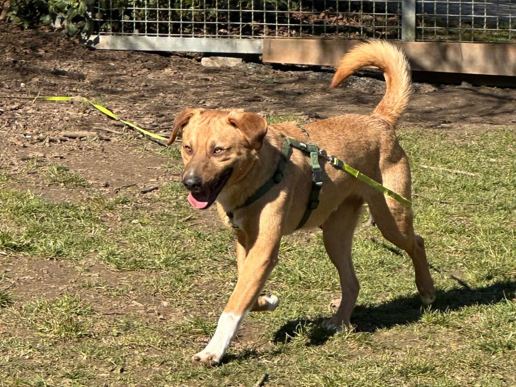 Toby Direktvermittlung Toby Direktvermittlung