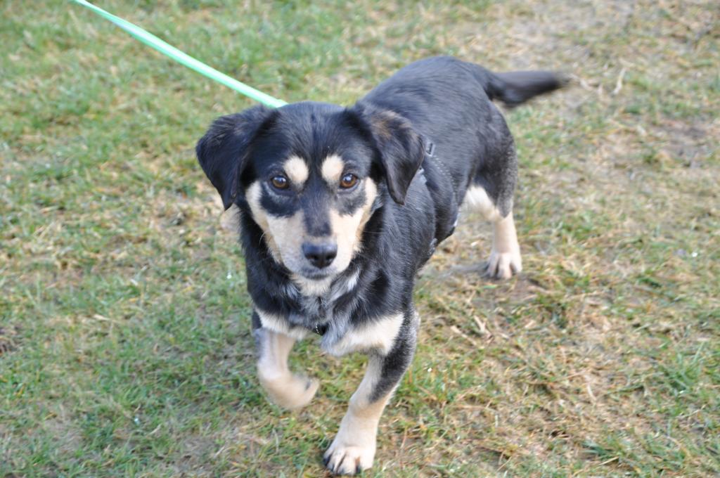 Tino Direktvermittlung Tino Direktvermittlung