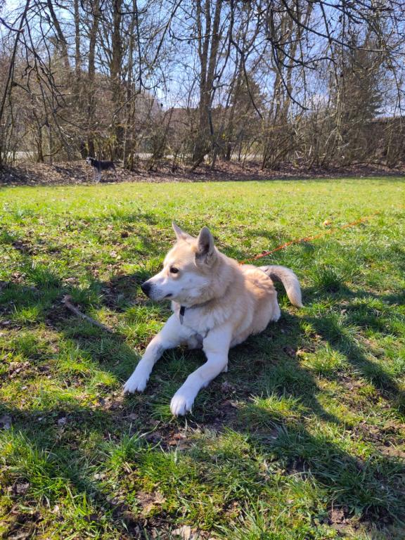 Polar Direktvermittlung Polar Direktvermittlung