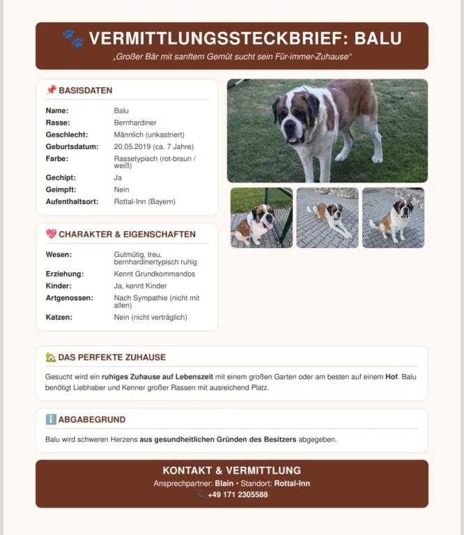 Balu Balu