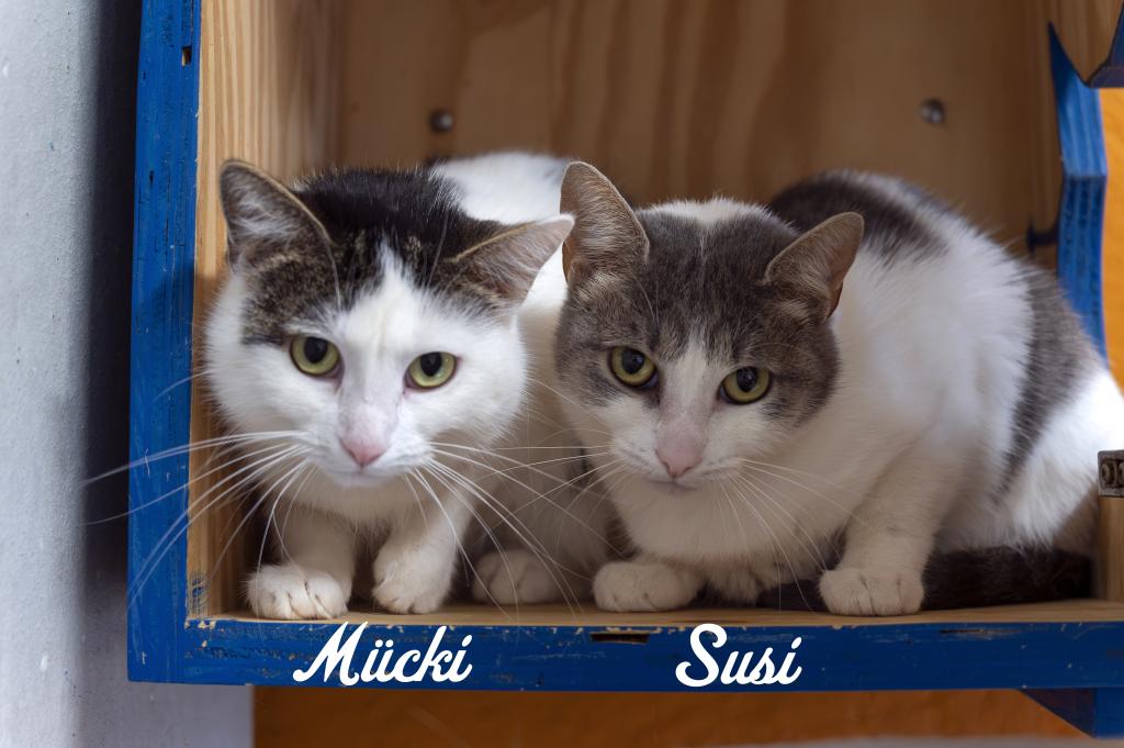 Susi und Mücki Susi und Mücki