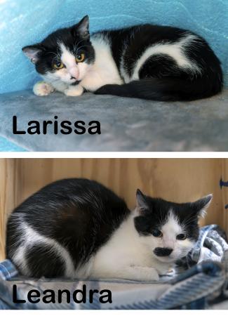 Larissa & Leandra