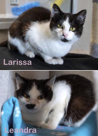 Larissa & Leandra