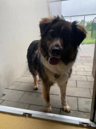 Sam