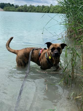 Roxy