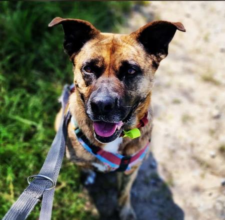 Roxy