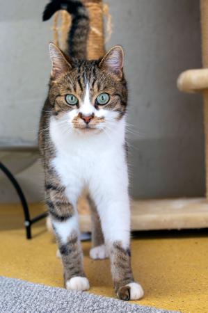 Oskar