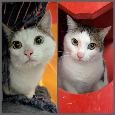 Mimi & Krümeline                
