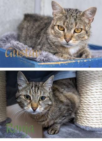 Ronja & Gustav