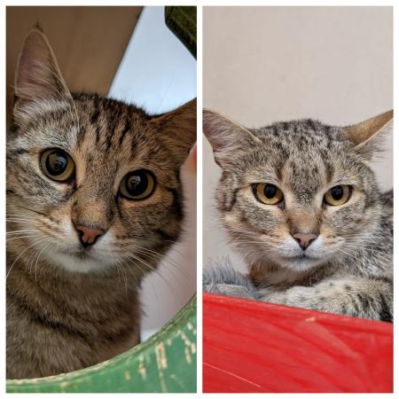 Ronja & Gustav