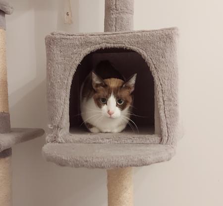 Lizzy und Gracy    DIREKTVERMITTLUNG
