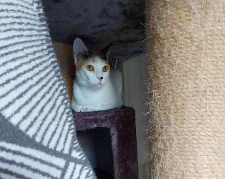 Lizzy und Gracy    DIREKTVERMITTLUNG