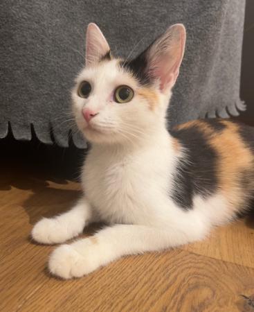Kira