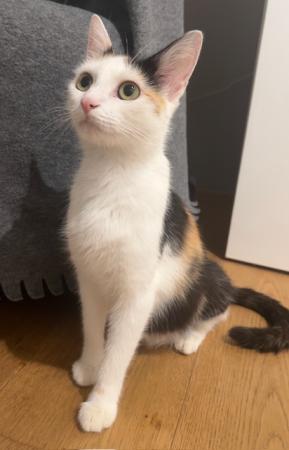 Kira