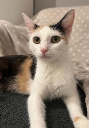 Kira