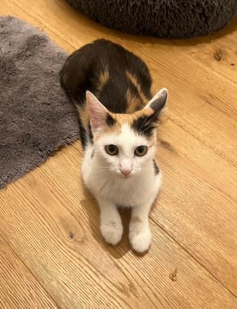 Kira