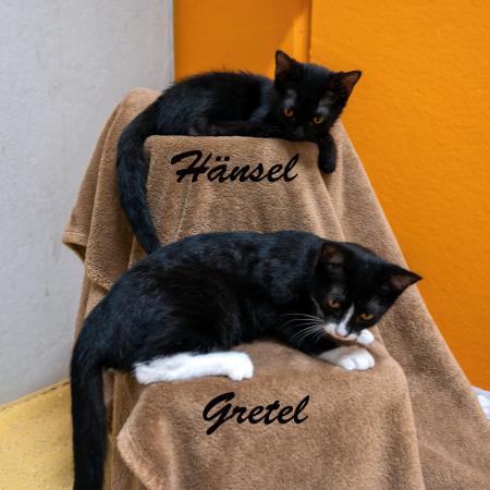 Hänsel & Gretel