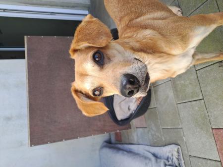 Murphy