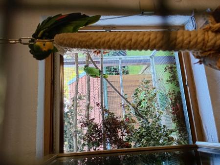 Cora und Sandy (Direktvermittlung) Cora und Sandy (Direktvermittlung)