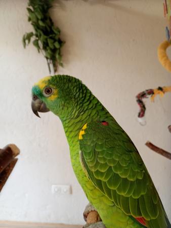 Cora und Sandy (Direktvermittlung) Cora und Sandy (Direktvermittlung)