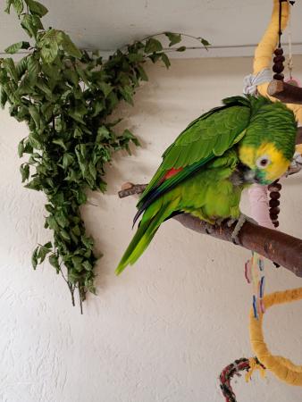 Cora und Sandy (Direktvermittlung) Cora und Sandy (Direktvermittlung)