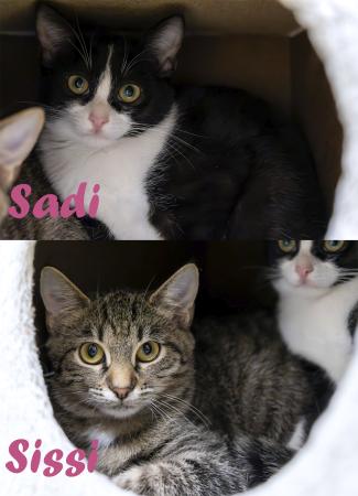 Sadi & Sissi