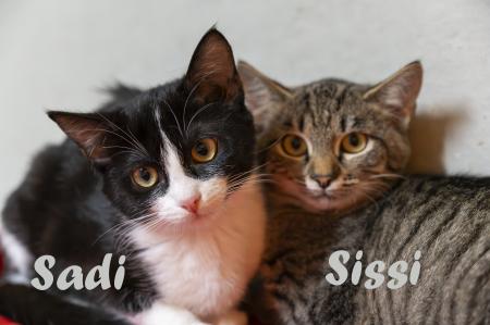Sadi & Sissi