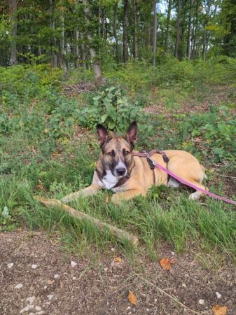 Mailo                    DIREKTVERMITTLUNG