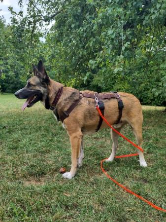 Mailo                    DIREKTVERMITTLUNG