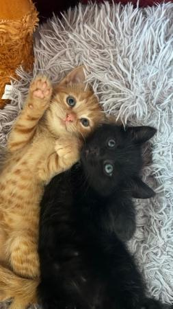 Bene & Bärli