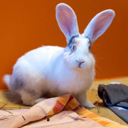 Aurelia, Ernesto, Alvaro, Mateo, Lucia, Fernanda, Estrella & Valeria