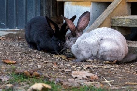 Aurelia, Ernesto, Alvaro, Mateo, Lucia, Fernanda, Estrella & Valeria