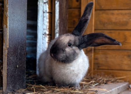 Aurelia, Ernesto, Alvaro, Mateo, Lucia, Fernanda, Estrella & Valeria