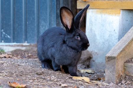 Aurelia, Ernesto, Alvaro, Mateo, Lucia, Fernanda, Estrella & Valeria