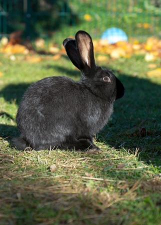 Aurelia, Ernesto, Alvaro, Mateo, Lucia, Fernanda, Estrella & Valeria
