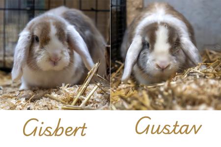 Gisbert & Gustav