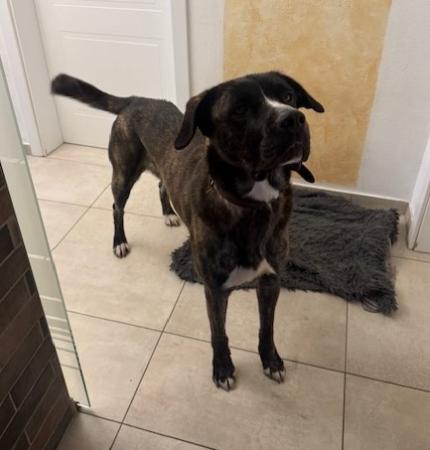 Lennox - DIREKTVERMITTLUNG