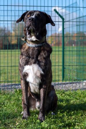 Lennox                         
